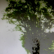 Sam_7570_card