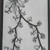 Image2_thumb