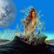 Sirena_wash_card