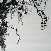 Tree_card
