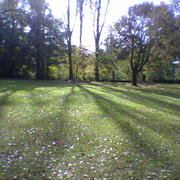 Bild_227_card