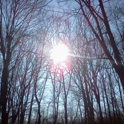 0205121347_card