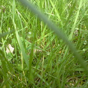 0325121543a_card