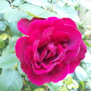 2012-05-21_19