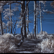 Img_0006_card