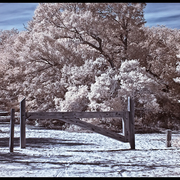 Img_0032_card
