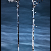 Img_0037_card