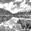 Bear_and_mountains-jpg_thumb