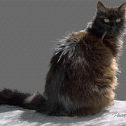 Boo_portrait_card
