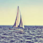 Img_0041_c_card