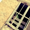 Taos11_thumb