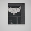Pathn10_thumb