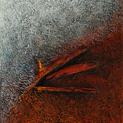 Bog_oak_card