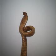 Cobra6_card