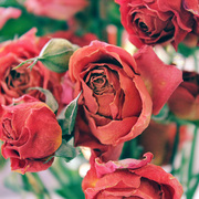 Img_8729_card