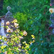 Zz_garden_wall_card