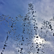 Img_9692_card