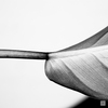 Untitled-41-16-3_thumb