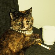 Cimg0804_card