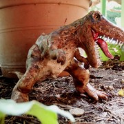 T-rex_card