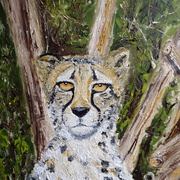 Gepard_sch_nbrunn_card