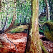 Wald_card