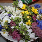 Img_7328__2__card