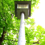Img_3467_card