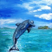 Delfin_card