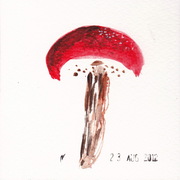 Mr_01_card