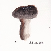 Mr_04_card