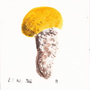 Mr_05_card