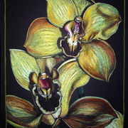 Orchids_card