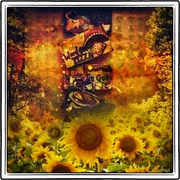 Sunny_card