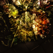Websize_blossom2012_card