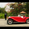 _mg_9937_thumb