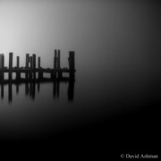 Annapolisfog_card