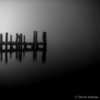 Annapolisfog_thumb