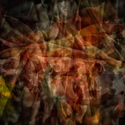 Websize_gladies_card