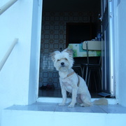 Imagen_206_card