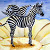 Zebra_thumb