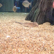 Img_0286_card