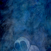 Nr44_thumb