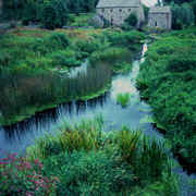 Mill_and_stream_card