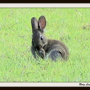 Dscn9855_card