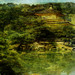 P4285144_square