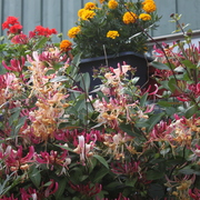 Img_7222_card