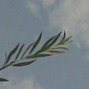 Bild013_card