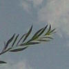 Bild013_thumb