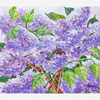 Branch_of_lilac_08___thumb